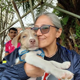 :NuDLNuDE Noodle Nude 2! NuDLNuDE Noodle Nude 2!